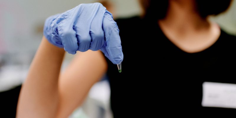 Jugendliche forschen im Labor mit DNA-Extraktion, PCR und Agarose-Gelelektrophorese