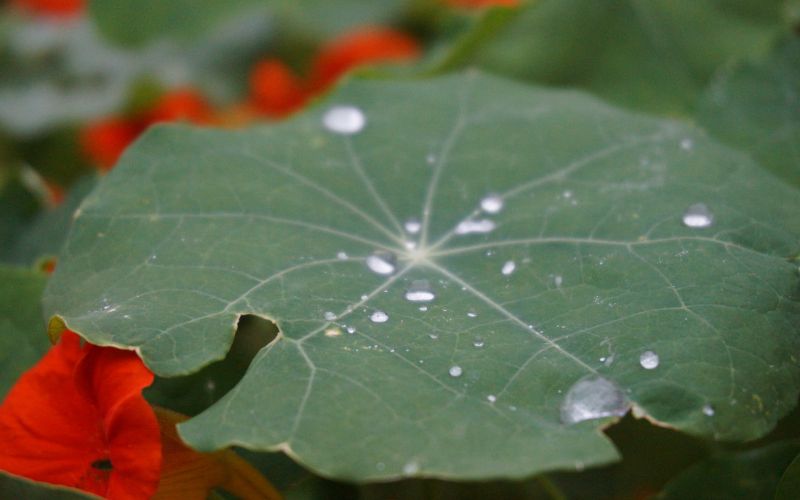 MINTopolis Kurs Überall Wasser!