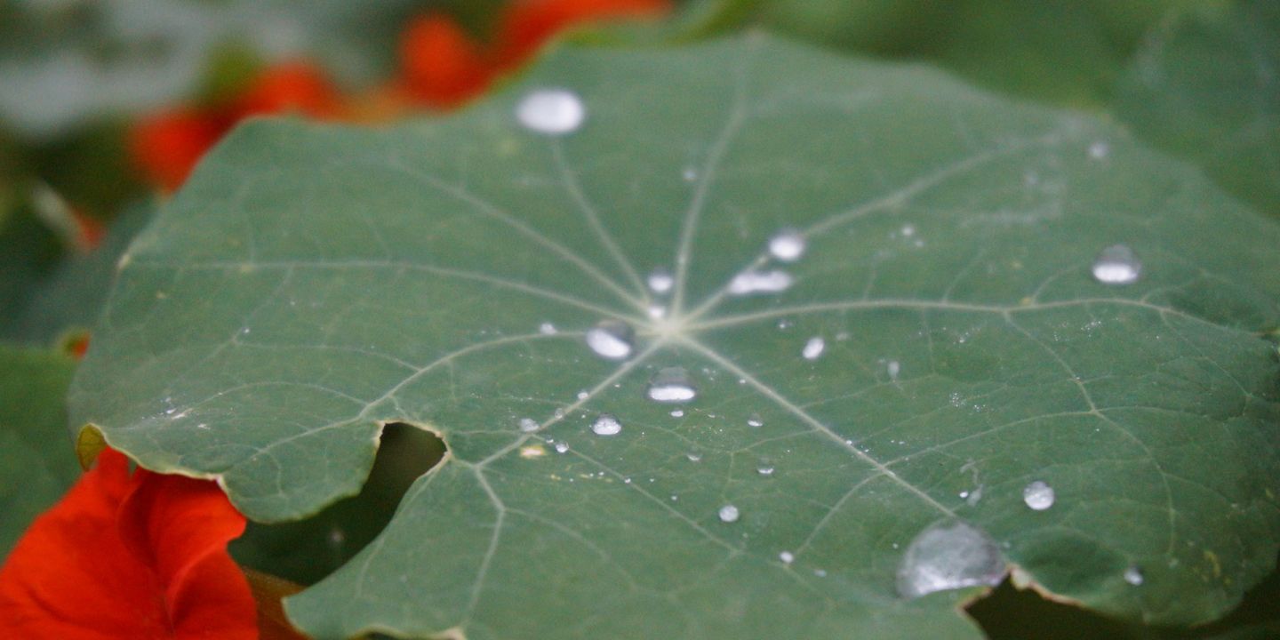 MINTopolis Kurs Überall Wasser!