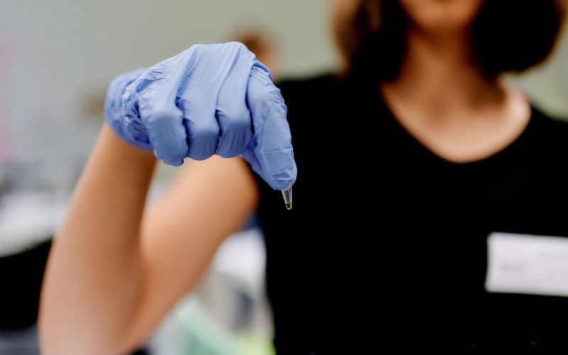 Jugendliche forschen im Labor mit DNA-Extraktion, PCR und Agarose-Gelelektrophorese