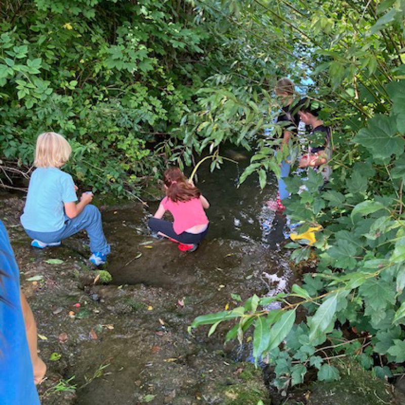 „Wasserdetektive“ - Forschernachmittag im MINTopolis am 31.08.2026