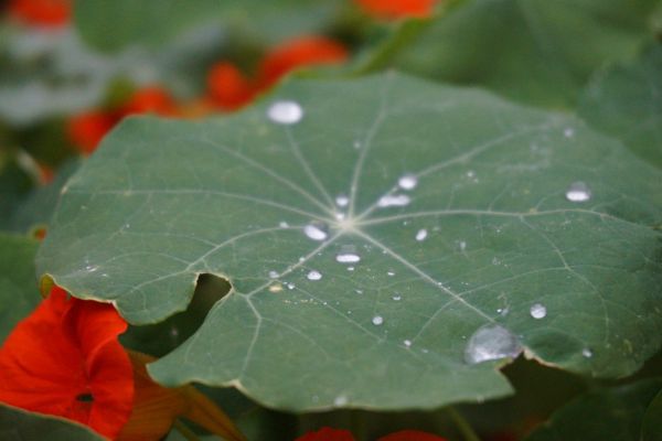 MINTopolis Kurs Überall Wasser!