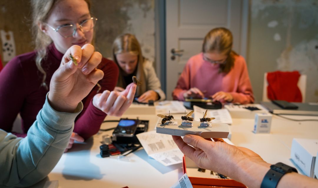 Jugendliche forschen zusammen mit Lehrkraft im Labor im MINTopolis Das Jugendforschungszentrum im Oberland