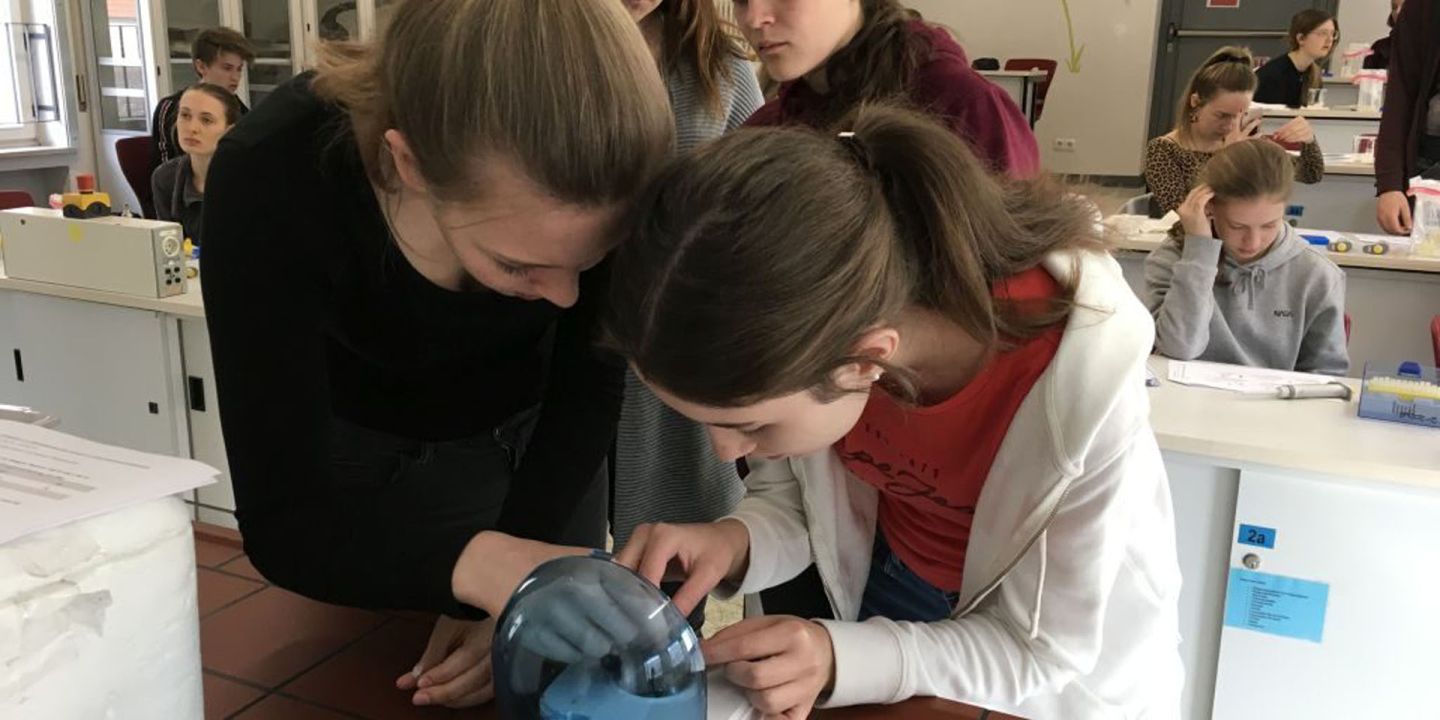 Jugendliche forschen im Labor mit DNA-Extraktion, PCR und Agarose-Gelelektrophorese