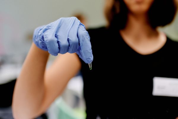 Jugendliche forschen im Labor mit DNA-Extraktion, PCR und Agarose-Gelelektrophorese