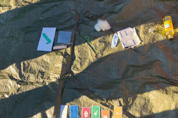 Kinder forschen im Klassenzimmern bei Entdeckerkursen an der Grundschule 19