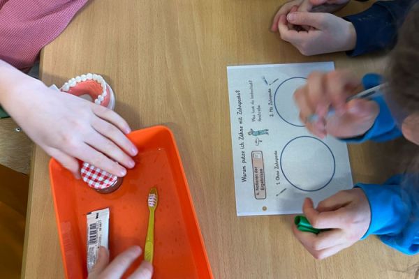 Kinder forschen im Klassenzimmern bei Entdeckerkursen an der Grundschule 02