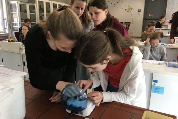 Jugendliche forschen im Labor mit DNA-Extraktion, PCR und Agarose-Gelelektrophorese