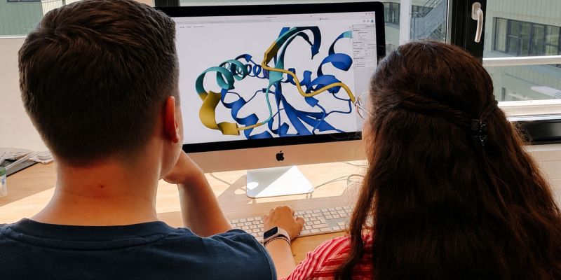 MINTopolis Kurs Proteine entschlüsseln