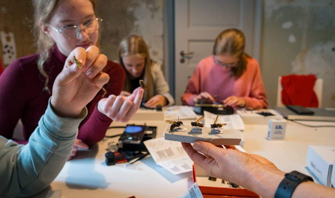 Jugendliche forschen zusammen mit Lehrkraft im Labor im MINTopolis Das Jugend­forschungs­zentrum im Oberland 