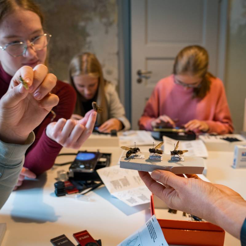 Kinder forschen im Klassenzimmern bei Entdeckerkursen an der Grundschule 01