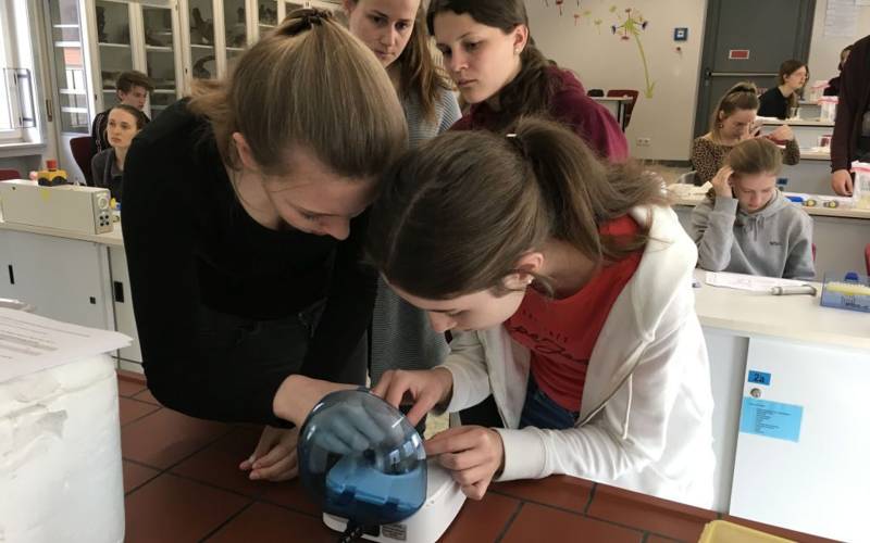 Jugendliche forschen im Labor mit DNA-Extraktion, PCR und Agarose-Gelelektrophorese